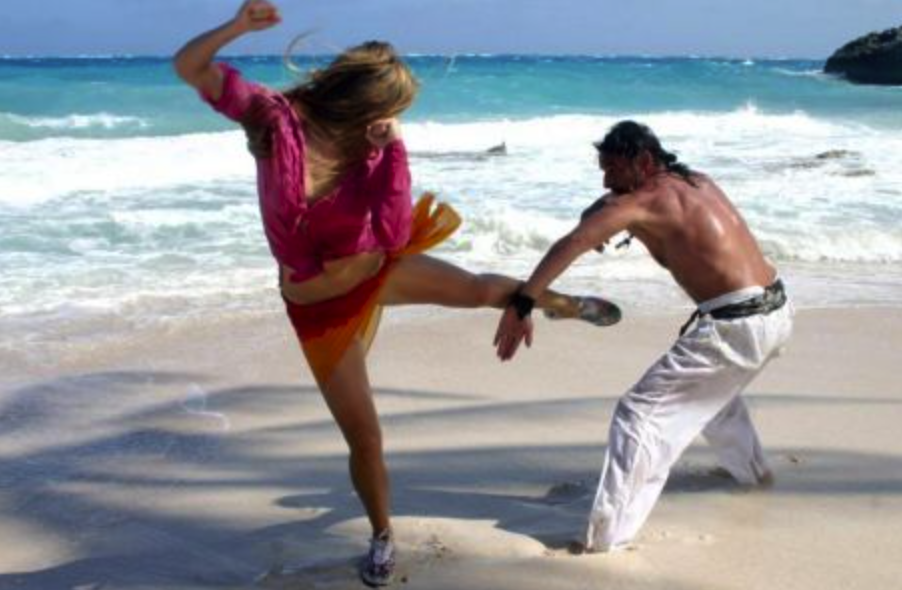 copyrighted Pirateninsel-Picture